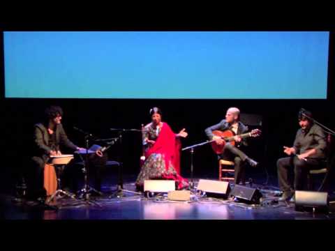 Cristina Soler - "Fandangos de Huelva" - Alcobendas Flamenca 2014 HD