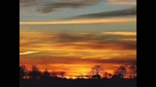 Last fist (piano box) - Woven Hand