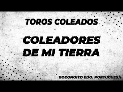 TOROS COLEADOS COLEADORES DE MI TIERRA , BOCONOITO EDO. PORTUGUESA
