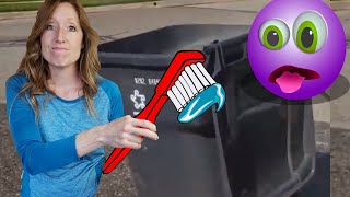 This is How to Clean Out Your Smelly Outdoor Garbage Like the Pros Do!!