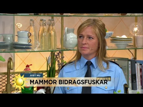 Mammor VAB-fuskar mest - Nyhetsmorgon (TV4)