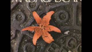 Madagascar Pay Attention