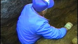 preview picture of video 'The Search for Pembroke's Time Capsule, Lost-And-Found'