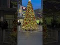 IMG Tree