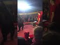 Circus Bear Attacks Trainer