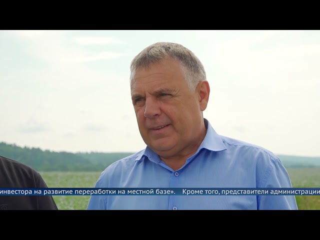 Савватеевка начинает преображаться