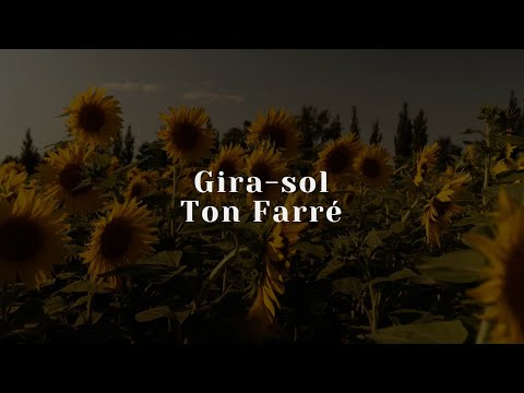 Ton Farré - Gira-sol  (Official Visualizer)