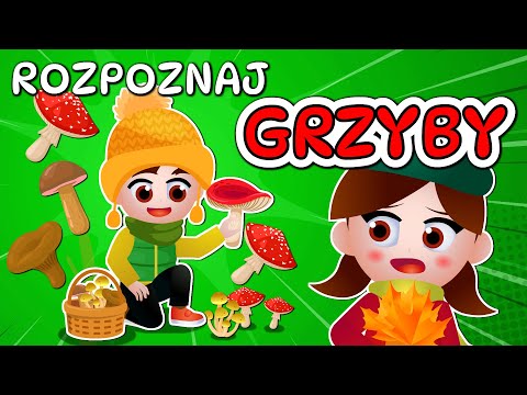 🍄 Kazio i TEST GRZYBIARZA - Grzybobranie dla dzieci - Rozpoznawanie grzybów 🍄