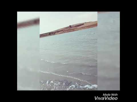 اجمل صيد ل 2029