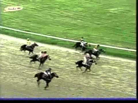 Resumen Jueves, 02 de Octubre de 2014  - Valencia