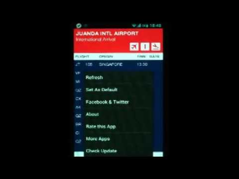 Indonesia FlightBoard Video