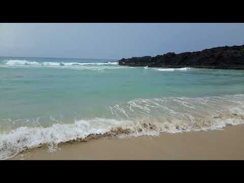 Tarika Ny Mpivahiny - Tapatapaka Moza