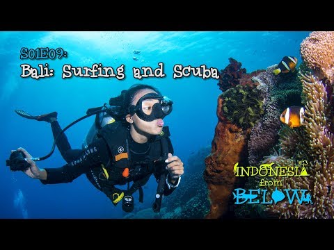 Bali: Surfing and Scuba | Indonesia from Below (S01E09) | [UHD/4K]