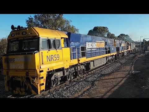 NR59 + NR45 + G526 #5PM5