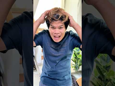 ซื้อวิกผมคน แต่ได้วิกผมแมว!! #youtubeshorts #คลายเครียด #โบ๊ะบ๊ะshorts