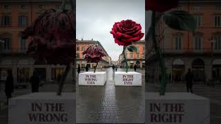 #foryou #travel #viral #shortvideo #trending #vlog #cruise #viralvideos #motivation #memes