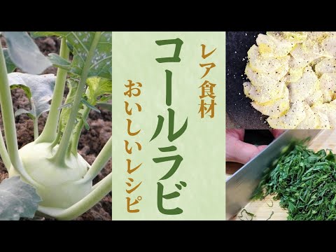 グッドネイバー: コールラビとの混合文化 植物