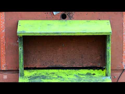 The end and the beginning of the journey. Ambient music.