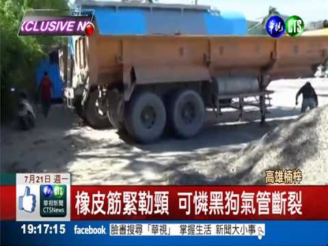 橡皮筋緊勒頸 小黑狗頭腫2倍大