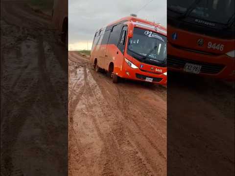 Flota La Macarena por la vía a Mapiripan Meta 🇨🇴 #trocherostrucks #busescolombianos #truckesvlogs