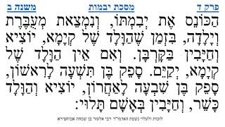 מסכת יבמות פרק ד משנה ב