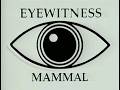 1996 Eyewitness Mammal