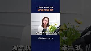 새로운 자극을 주면 뇌가 늙지 않는다?