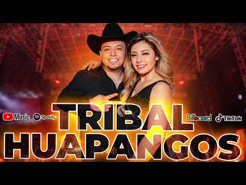 Mix Huapangos 2025 🔥 Popurri De Huapangos Chingones Mix 💃🕺 Huapangos Para Bailar Zapateado