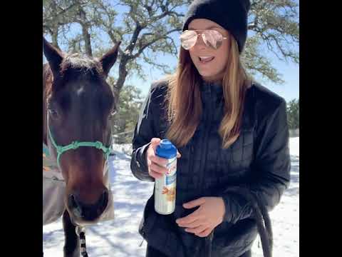 Tricks to Keep Snow Off a Horse's Hooves