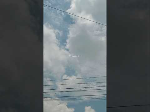 About today | Monday | sky| flowers| #today #todaysvlog #sky #flowers #viralvideo #firstvideo