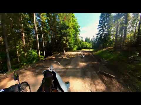 Forest ride - Bicaz Romania ( almost misses deer )