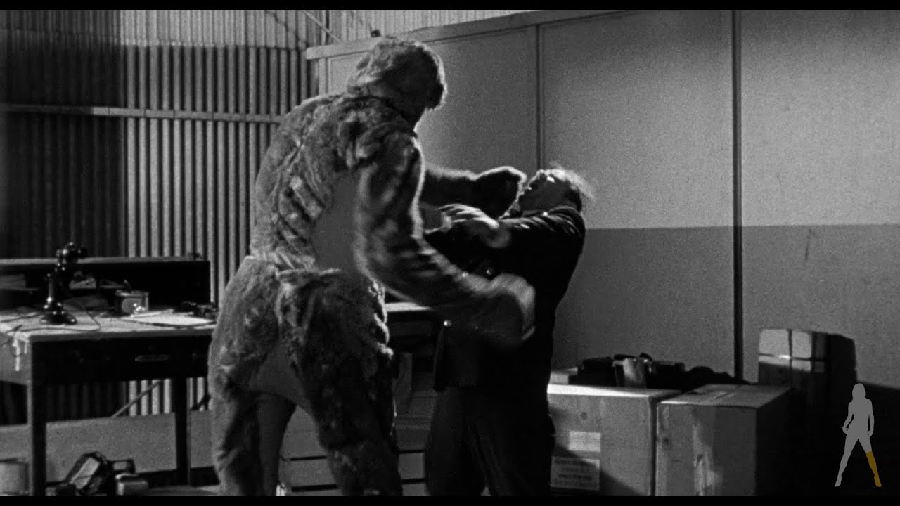 Vinegar Syndrome Labs Blu-ray Promo Trailer