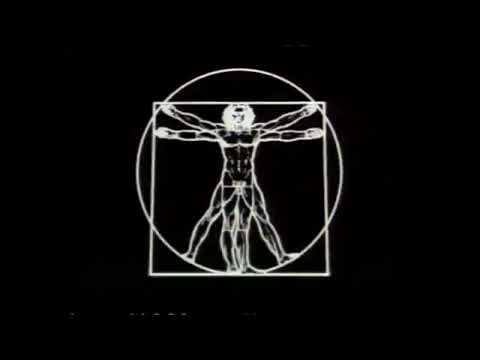 World In Action theme