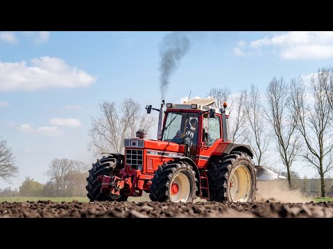 Tractor Legend: International 1455XL | Ploughing | Pure sound