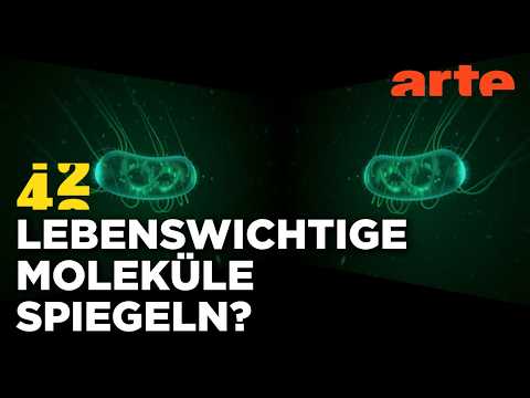 Was, wenn das Leben spiegelverkehrt wäre? | 42 - Die Antwort auf fast alles | ARTE
