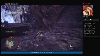 MHW 歴戦回し
