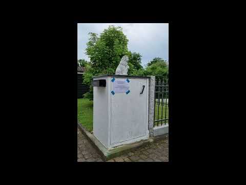 Gartenrotschwanz Brutplatz im Zeitungkasten