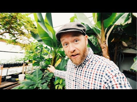 download lagu mp3 mp4 Colorado Greenhouse, download lagu Colorado Greenhouse gratis, unduh video klip Colorado Greenhouse