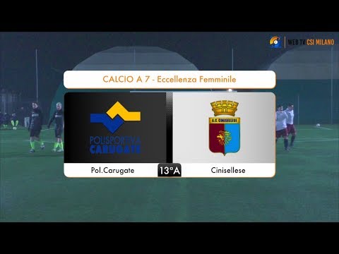 Sintesi Pol.Carugate - Cinisellese