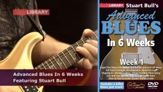 Advanced Blues Guitar Lessons - 6 Weeks Guitar DVD Series With Stuart Bull Licklibrary