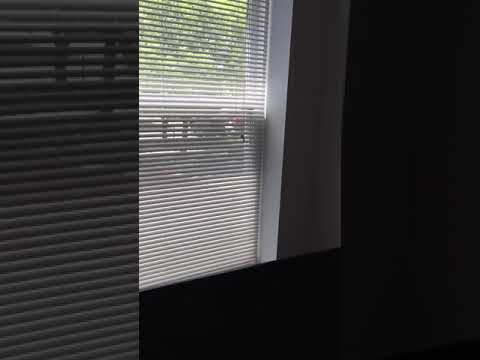 3341 N Seminary - Video 2 of 2