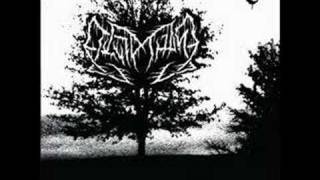 Leviathan (USA) - Pondering The Wealth of The Stars