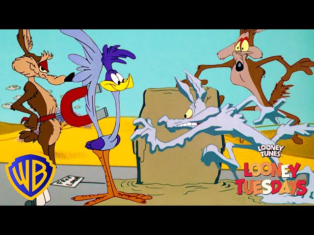 Vídeo relacionado con LOONEY TUNES Wile E Coyote Mujer Pijama Multicolor 100% algodón Regular