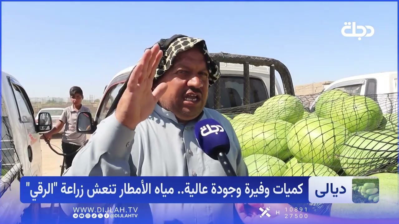 فيديو | من الجفاف إلى الوفرة.. رقي العظيم يعوض خسائر سنوات