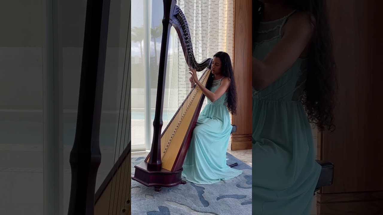 Promotional video thumbnail 3 for LivThroughMusic