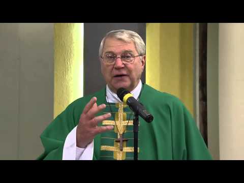 Homilia da Santa Missa 04/09/2013 - O Espírito Santo nos liberta