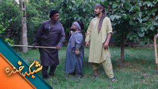 شبکه خنده -اولین تجربه کاری آدم ساده