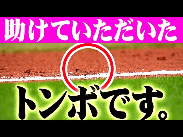 【勝ち虫】牧原大成『エスコンに迷い込んだトンボを救う』
