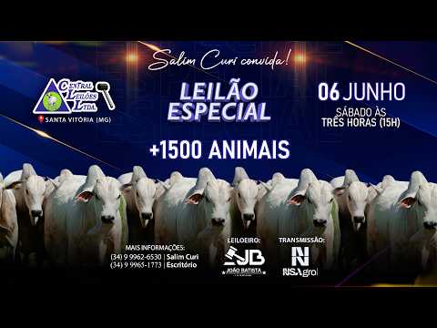 🌾  Leilão Especial  - Central Leilões - Santa Vitória (MG) - 06 de JUNHO