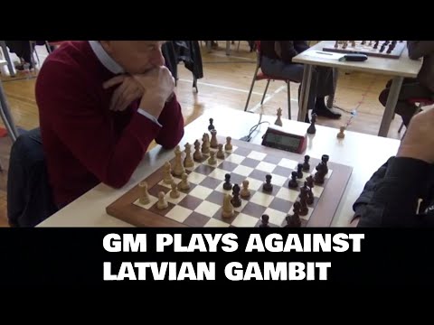 Welcoming grandmaster with Latvian gambit | Kovalev - Senkans